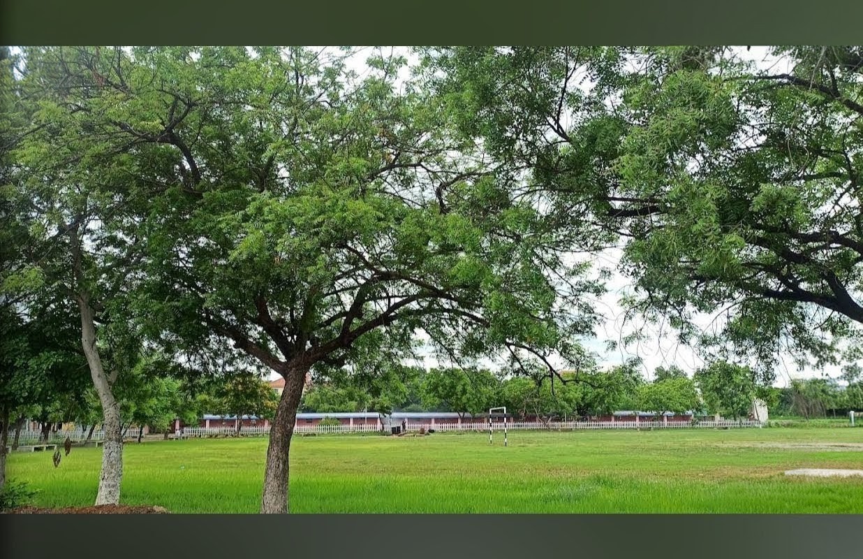 College garden